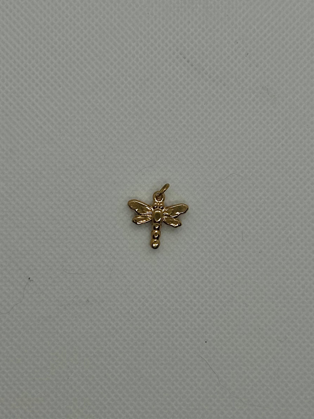 Dragonfly Charm