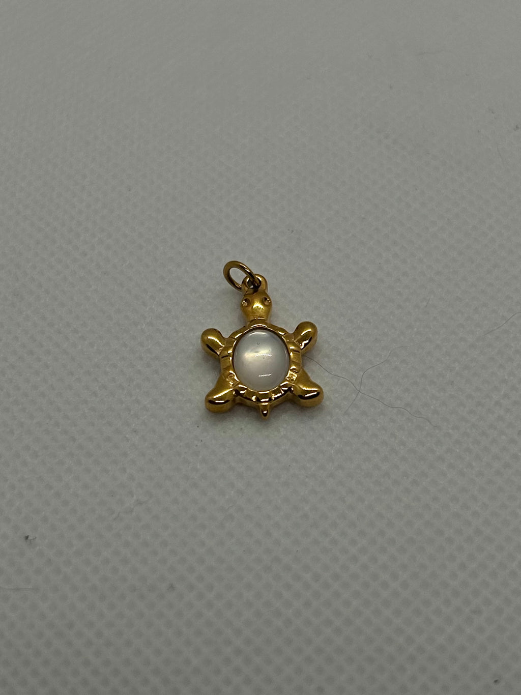 Turtle Charm