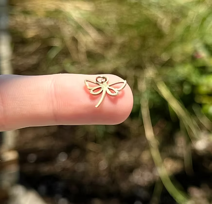 Minimal Dragonfly Charm